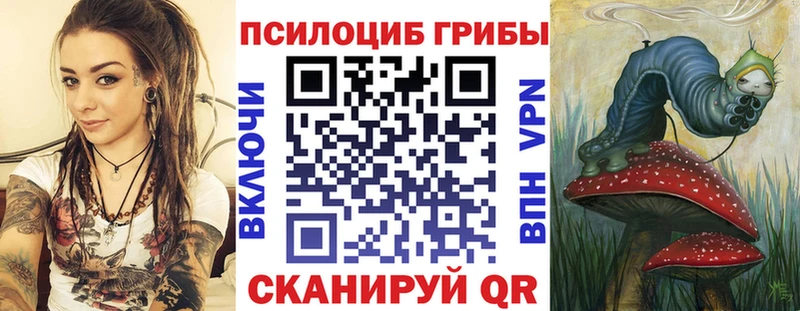 купить  цена  Сретенск  Галлюциногенные грибы Psilocybe 