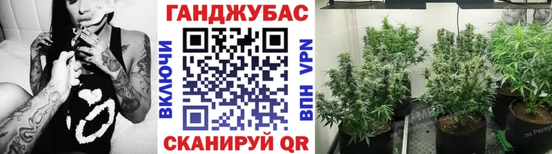 кракен как зайти  Сретенск  Каннабис план 